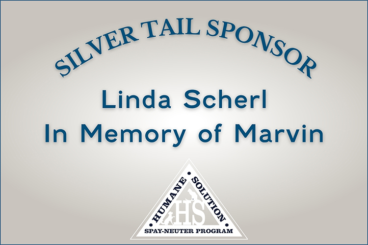 SPONSORSHIP LOGOS - scherl