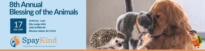 Banner announcing the 8th Annual Blessing of the Animals on Oct 17, 2026, with SpayKind logo and images of a dog, cat, hedgehog, and parrot.